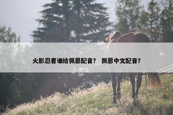 火影忍者谁给佩恩配音？ 佩恩中文配音？