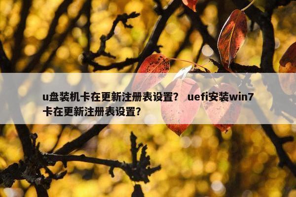 u盘装机卡在更新注册表设置？ uefi安装win7卡在更新注册表设置？