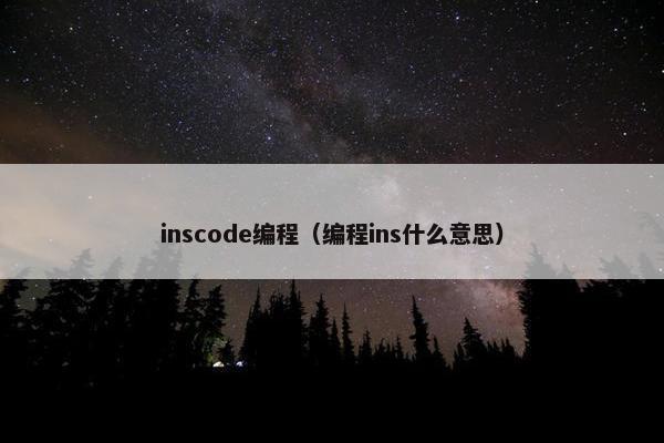 inscode编程（编程ins什么意思）