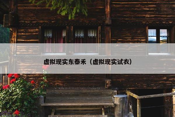 虚拟现实东泰禾（虚拟现实试衣）