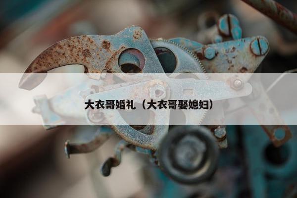 大衣哥婚礼（大衣哥娶媳妇）