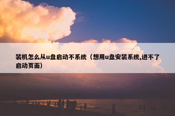装机怎么从u盘启动不系统（想用u盘安装系统,进不了启动页面）