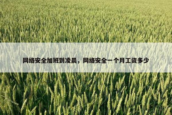 网络安全加班到凌晨，网络安全一个月工资多少