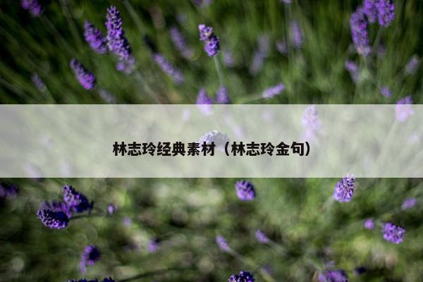 林志玲经典素材（林志玲金句）