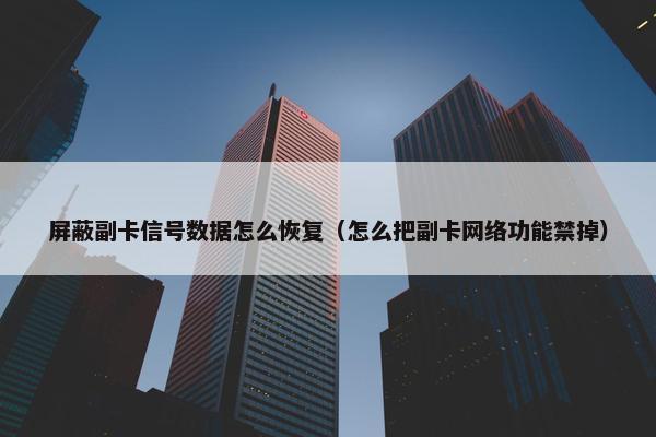 屏蔽副卡信号数据怎么恢复（怎么把副卡网络功能禁掉）