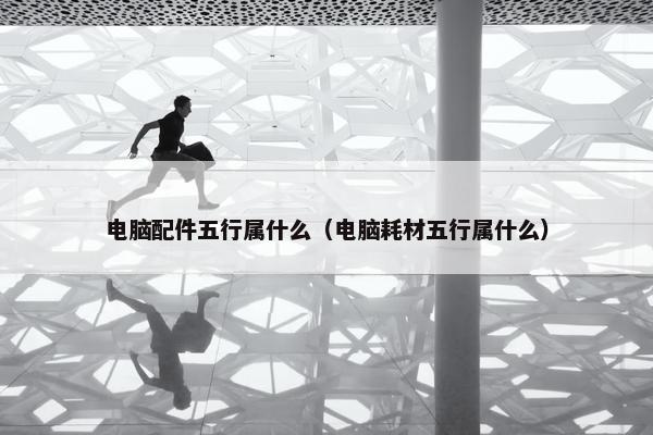 电脑配件五行属什么（电脑耗材五行属什么）