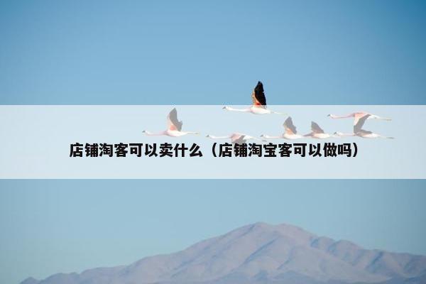 店铺淘客可以卖什么（店铺淘宝客可以做吗）
