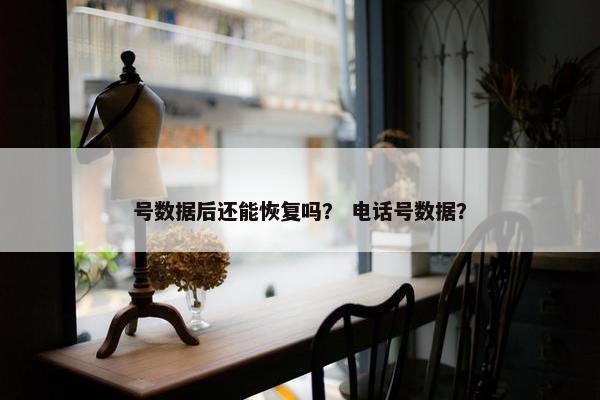 号数据后还能恢复吗？ 电话号数据？