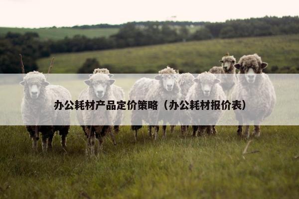 办公耗材产品定价策略（办公耗材报价表）