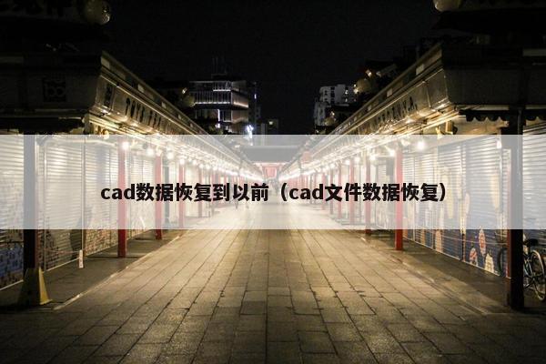 cad数据恢复到以前（cad文件数据恢复）