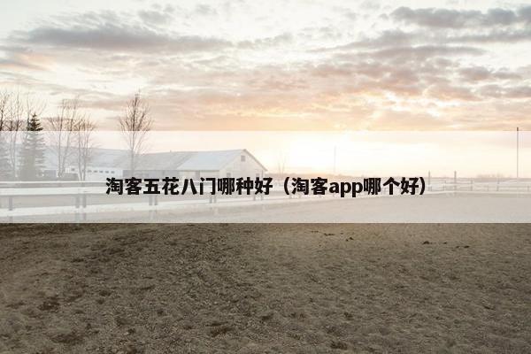 淘客五花八门哪种好（淘客app哪个好）