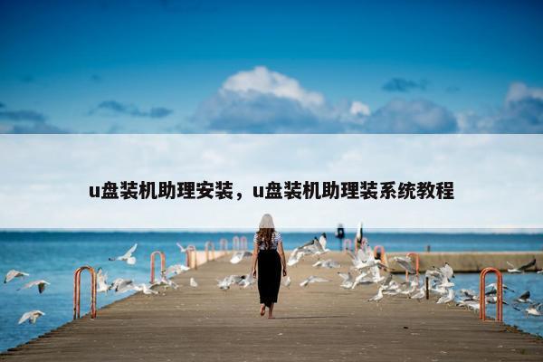 u盘装机助理安装，u盘装机助理装系统教程