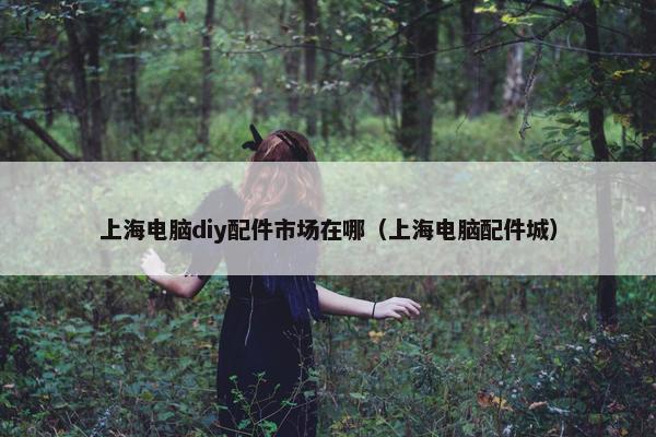 上海电脑diy配件市场在哪（上海电脑配件城）