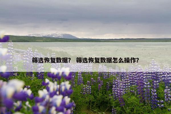 筛选恢复数据？ 筛选恢复数据怎么操作？