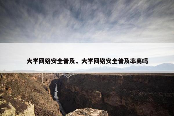 大学网络安全普及，大学网络安全普及率高吗