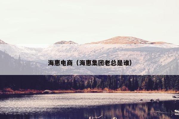 海惠电商（海惠集团老总是谁）