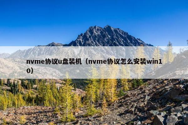 nvme协议u盘装机（nvme协议怎么安装win10）