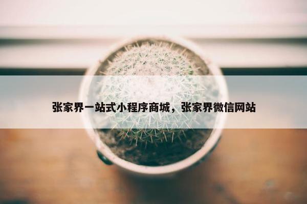 张家界一站式小程序商城，张家界微信网站