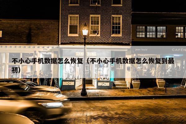 不小心手机数据怎么恢复（不小心手机数据怎么恢复到最初）
