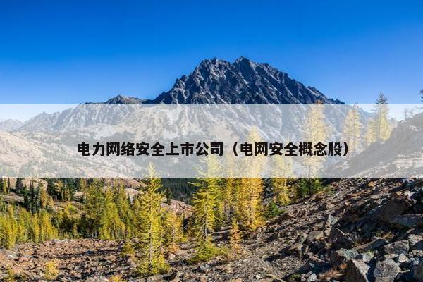 电力网络安全上市公司（电网安全概念股）