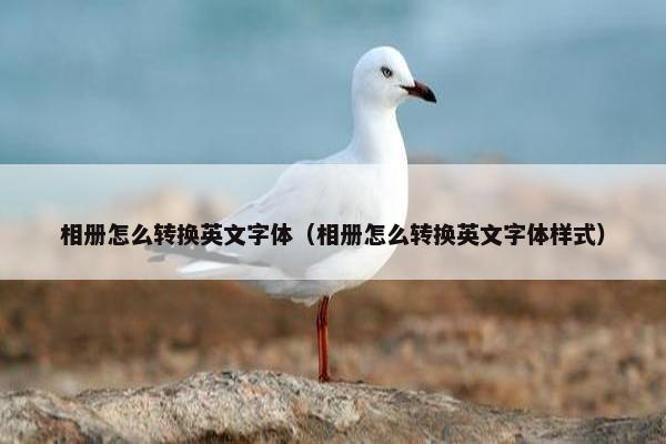 相册怎么转换英文字体（相册怎么转换英文字体样式）