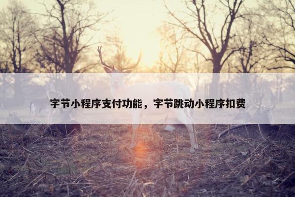 字节小程序支付功能，字节跳动小程序扣费