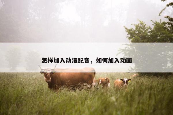怎样加入动漫配音，如何加入动画