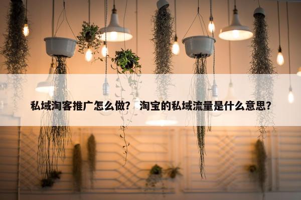 私域淘客推广怎么做？ 淘宝的私域流量是什么意思？