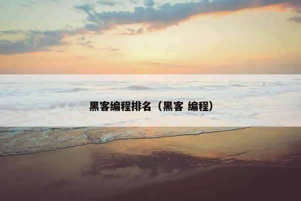 黑客编程排名（黑客 编程）