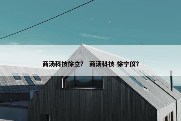 商汤科技徐立？ 商汤科技 徐宁仪？
