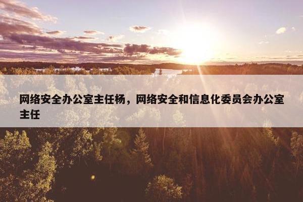 网络安全办公室主任杨，网络安全和信息化委员会办公室主任