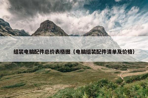组装电脑配件总价表格图（电脑组装配件清单及价格）
