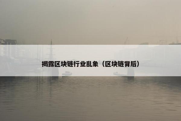 揭露区块链行业乱象（区块链背后）