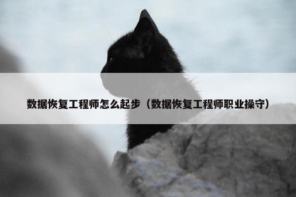 数据恢复工程师怎么起步（数据恢复工程师职业操守）