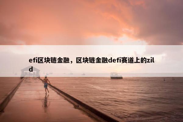 efi区块链金融，区块链金融defi赛道上的zild