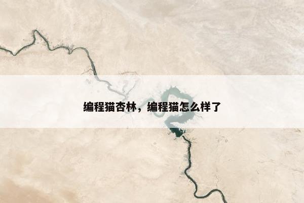 编程猫杏林，编程猫怎么样了