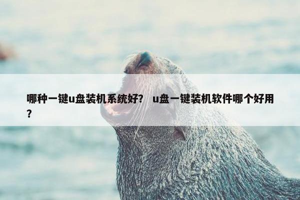 哪种一键u盘装机系统好？ u盘一键装机软件哪个好用？