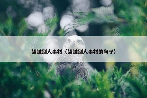 超越别人素材（超越别人素材的句子）