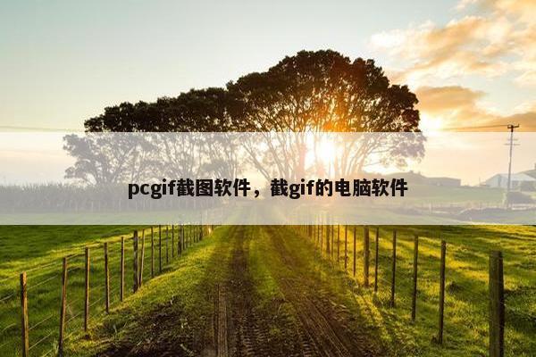 pcgif截图软件，截gif的电脑软件