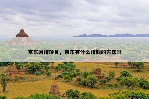 京东网赚项目，京东有什么赚钱的方法吗