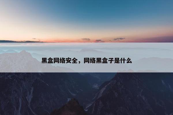 黑盒网络安全，网络黑盒子是什么