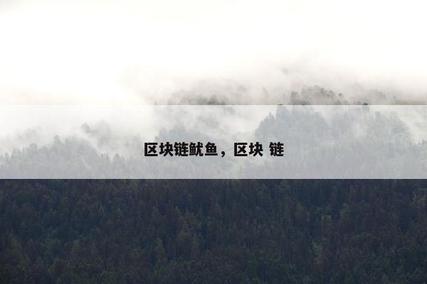 区块链鱿鱼，区块 链