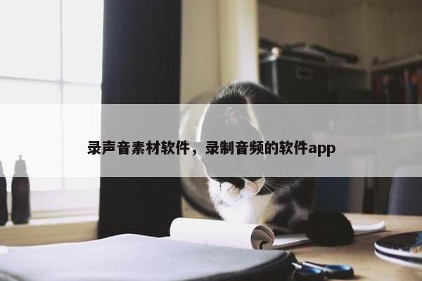 录声音素材软件，录制音频的软件app