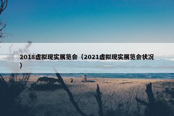 2018虚拟现实展览会（2021虚拟现实展览会状况）