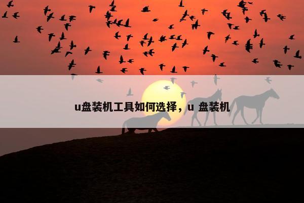 u盘装机工具如何选择，u 盘装机