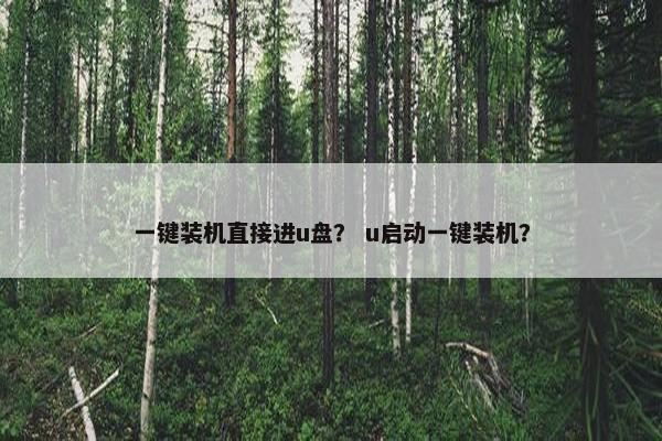 一键装机直接进u盘？ u启动一键装机？