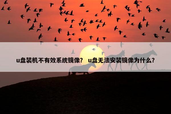 u盘装机不有效系统镜像？ u盘无法安装镜像为什么？