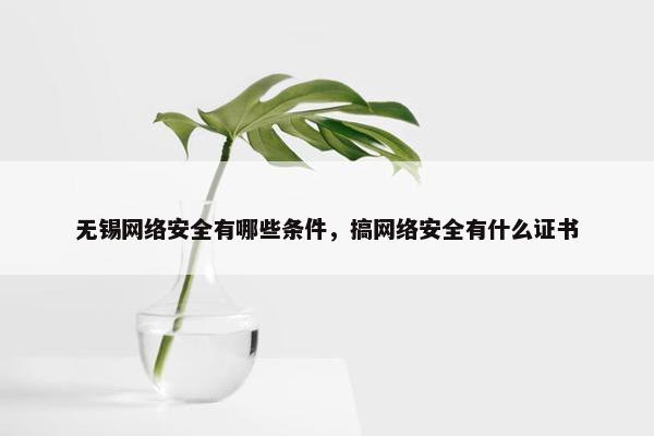 无锡网络安全有哪些条件，搞网络安全有什么证书