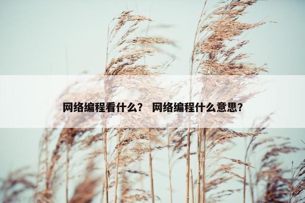 网络编程看什么？ 网络编程什么意思？