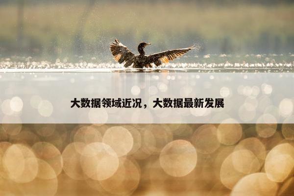 大数据领域近况，大数据最新发展